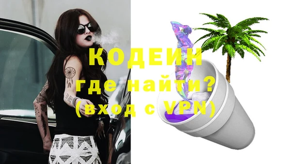 твердый Дмитровск