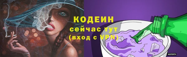 твердый Дмитровск