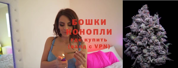 твердый Дмитровск