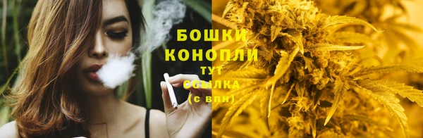 твердый Дмитровск
