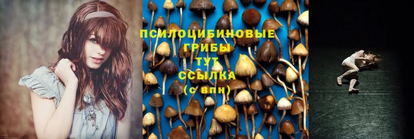 твердый Дмитровск