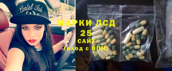 твердый Дмитровск