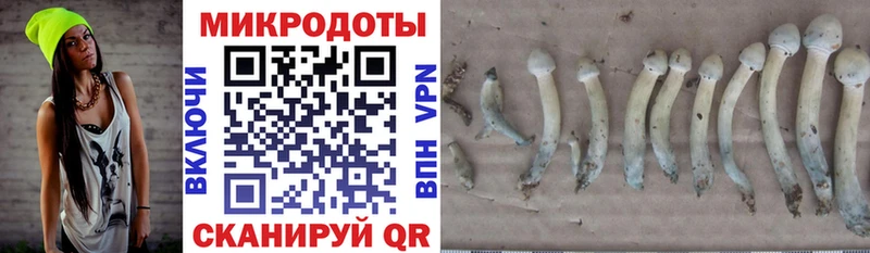 Псилоцибиновые грибы Cubensis  хочу   Духовщина 